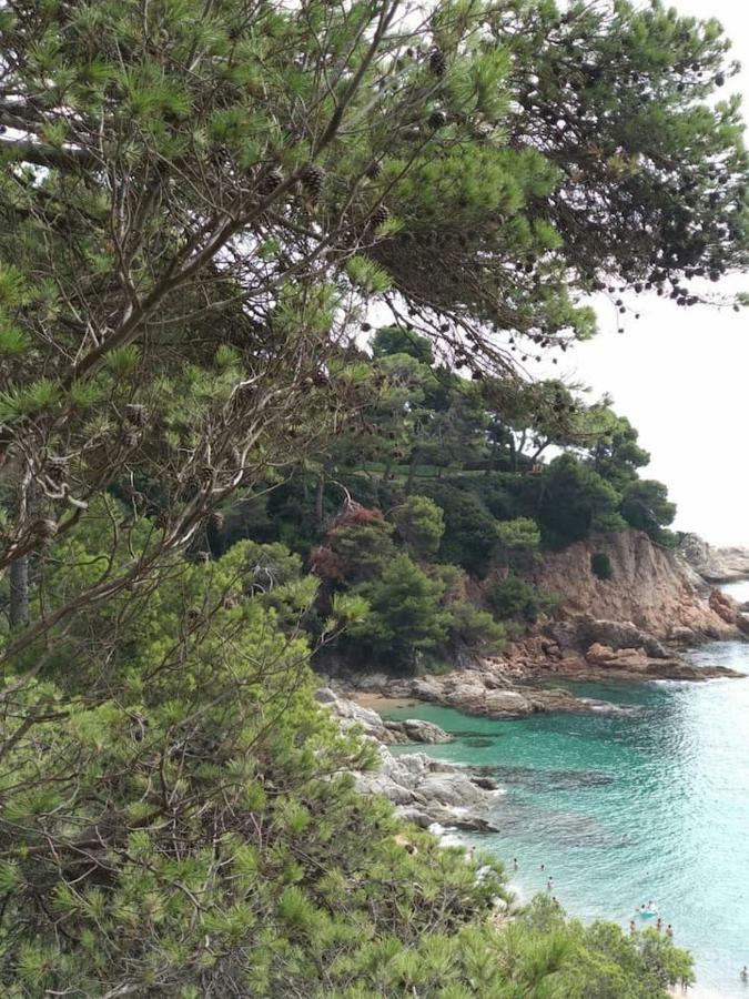 Cala Salions, Chalana Ii *